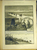 Original Old Antique Print 1891 Shrimping Thames River Mouth Shrimp Fishermen