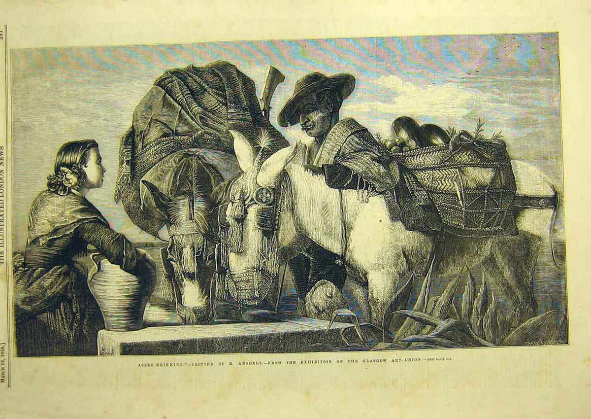 Original Old Antique Print 1858 Asses Drinking Ansdell Donkeys Water Victorian