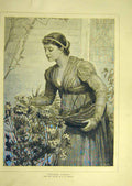 Original Old Antique Print 1881 Tender-Cares Perugini Lady Plant Flowers 19th