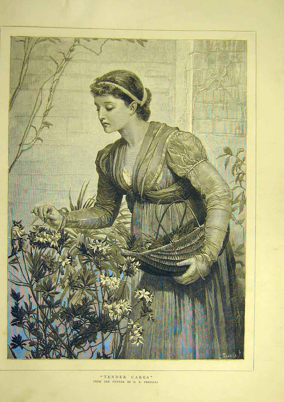 Original Old Antique Print 1881 Tender-Cares Perugini Lady Plant Flowers 19th