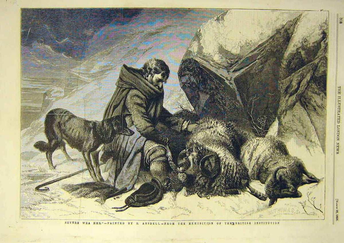 Original Old Antique Print 1856 Severe Weather Ansdell Dog Sheep Shepherd 19th