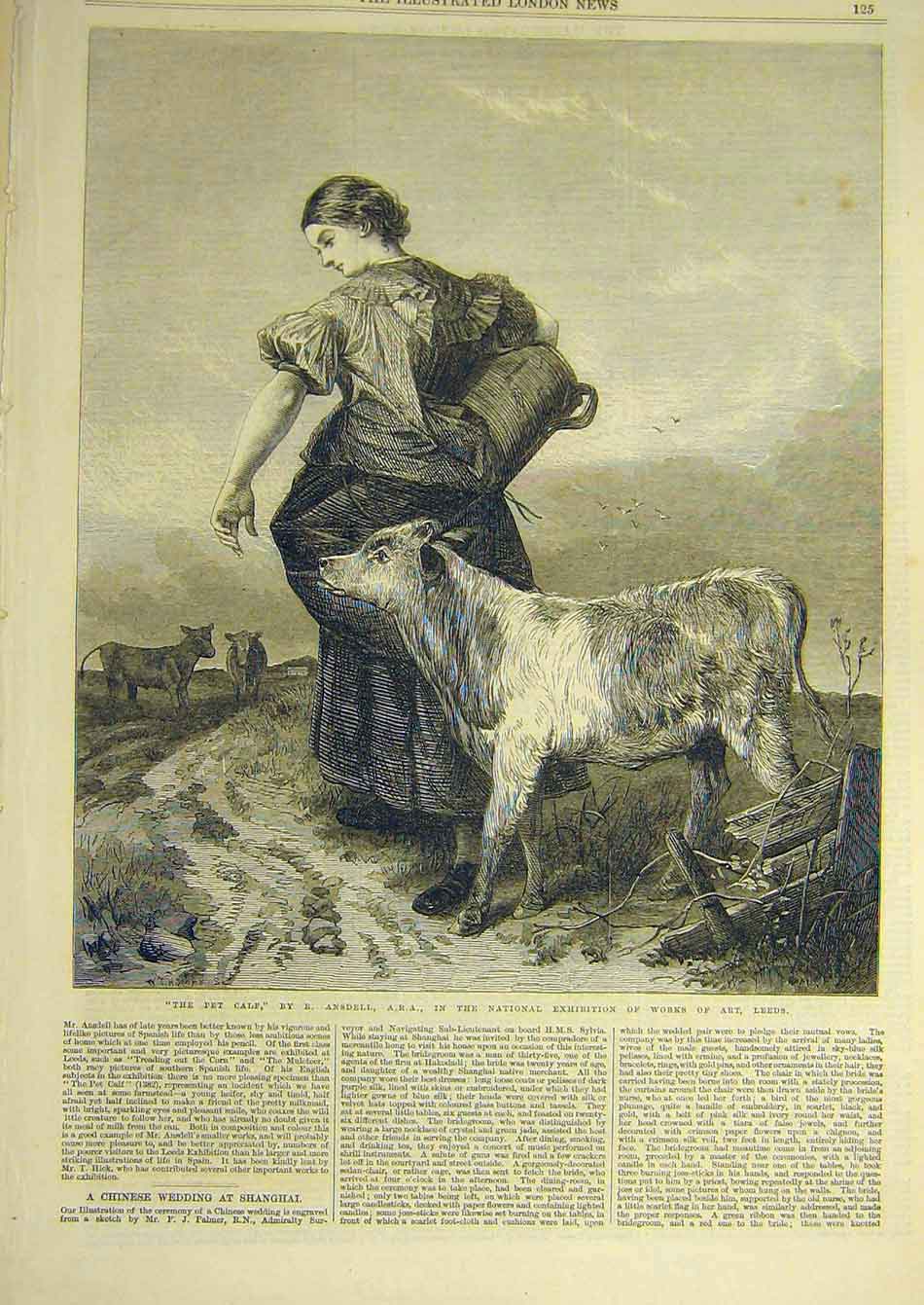 Original Old Antique Print 1868 Pet-Calf Ansdell Lady Animal Fine Art Victorian