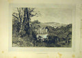 Original Old Antique Print 1895 English Homes Wucombe Abbey Country View 19th