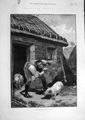 Original Old Antique Print 1880 Private-Shave Galway Ireland Man Pigs Irish 19th