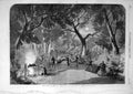 Original Old Antique Print 1862 Scene Opera Love'S Triumph Covent Garden Theatre