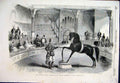 Original Old Antique Print 1858 American-Horse Black-Eagle Alhambra Palace 19th