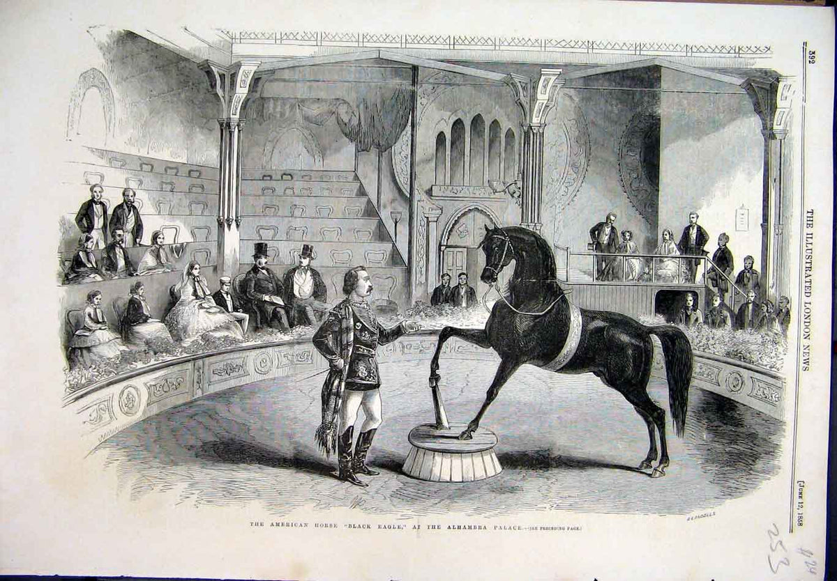 Original Old Antique Print 1858 American-Horse Black-Eagle Alhambra Palace 19th