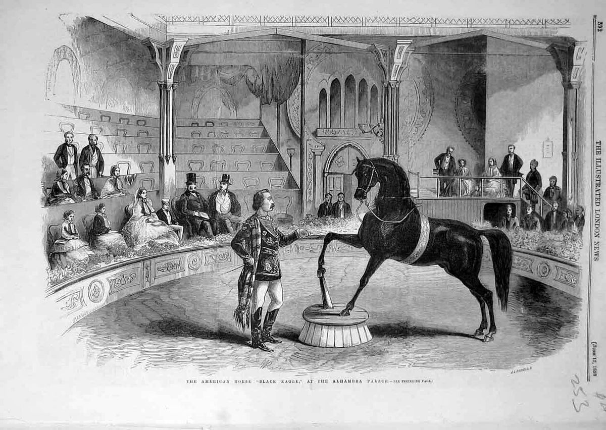 Original Old Antique Print 1906 Terry Matinee Theatre Drury-Lane Scene 20th