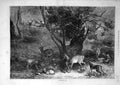 Original Old Antique Print 1871 Month July Deer Forest Woodds Animal Victorian
