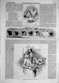 Original Old Antique Print 1843 Bantams Fowl-House Walter Pigeons Walter 19th
