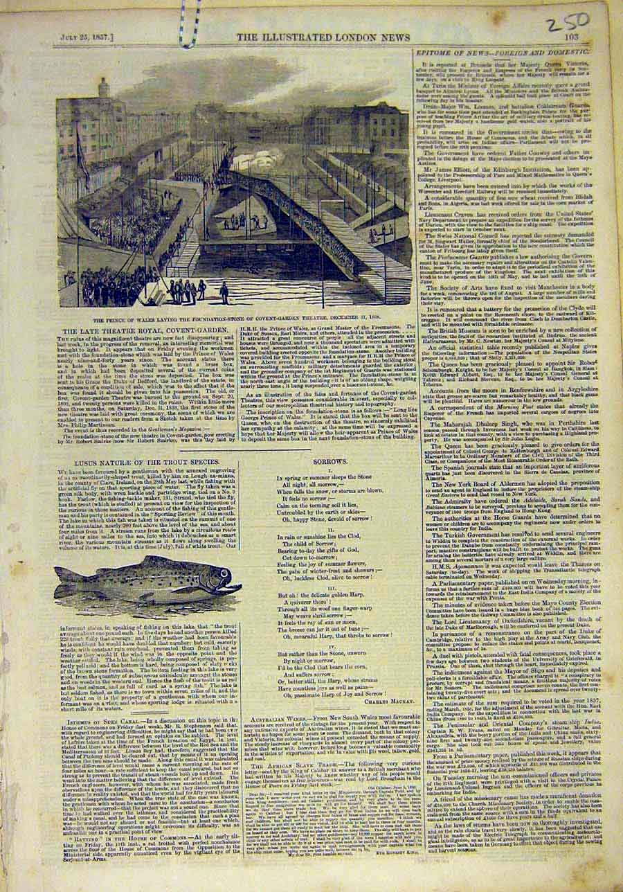 Original Old Antique Print 1857 Prince Covent Garden Theatre Trout Fish 19th