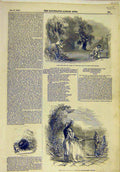 Original Old Antique Print 1845 Scene Opera Fairy-Oak Theatre Lyons Sketches