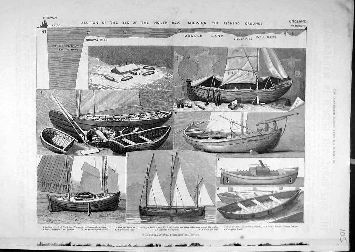 Original Old Antique Print 1883 Fishing Grounds North-Sea Fisheries Exhibition