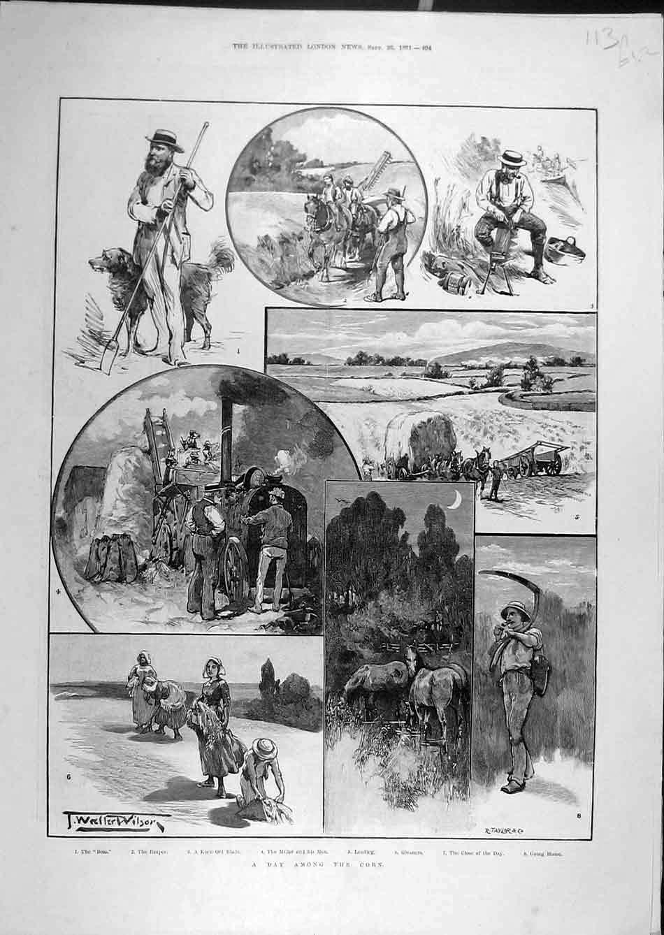 Original Old Antique Print 1891 Corn Reaper Miller Gleaners Labourers Farming