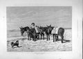 Original Old Antique Print 1885 Marshall Beach Sea-Side Donkey-Rides Lady Dog