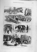 Original Old Antique Print 1880 Royal Buck-Hounds Sketches Kennels Ascot 19th