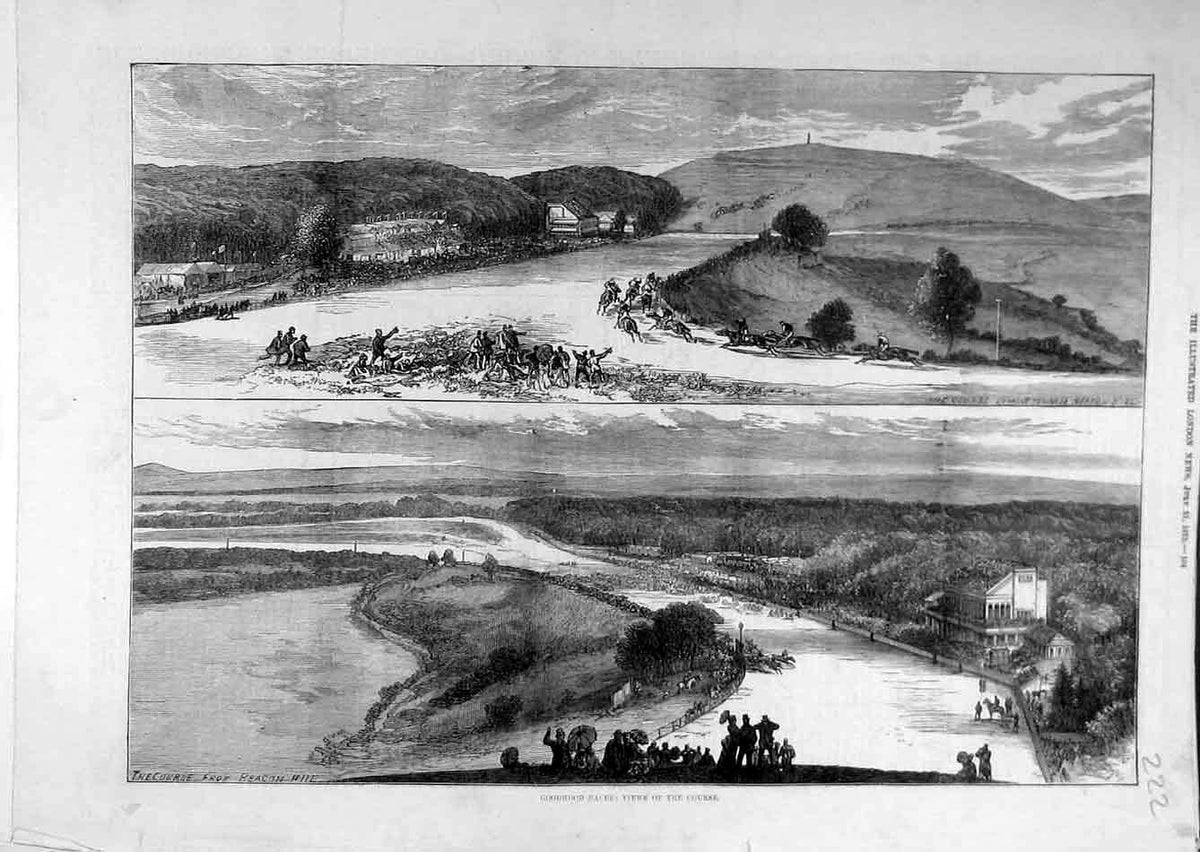 Original Old Antique Print 1875 Goodwood Races View Race-Course 19th