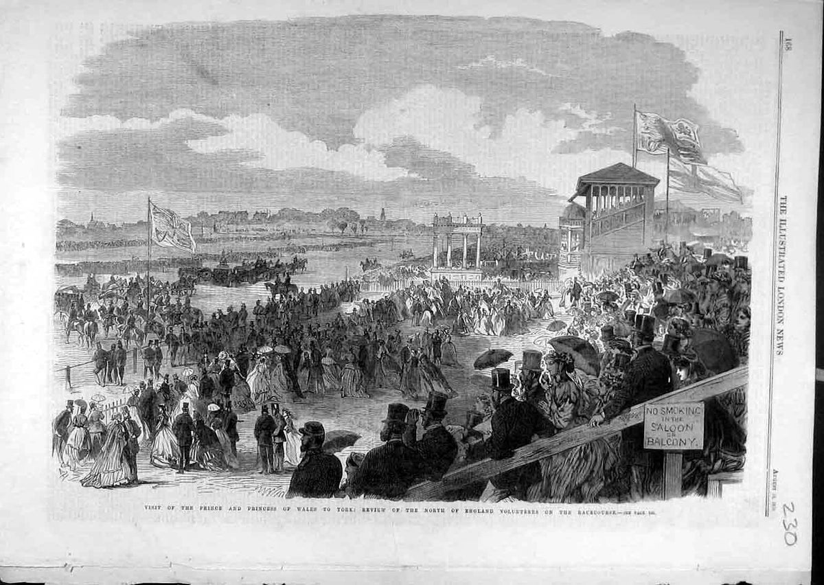 Old Antique Print 1866 Prince Princess Wales Review Volunteers Racecourse 19th