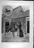 Old Antique Print 1894 Princess Wales Yearling Alexandra Sandringham Stud 19th