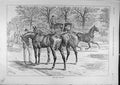 Original Old Antique Print 1891 Ready-For-The-Row Rotten-Row Horses Rider 19th