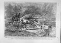Original Old Antique Print 1890 Ellimans Sturgess Horse Carriage Rain-Storm 19th