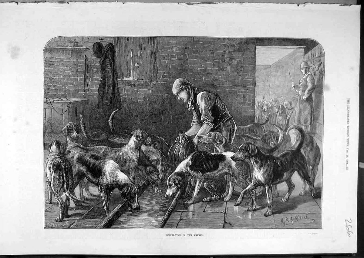 Original Old Antique Print 1872 Dinner-Time Kennel Dogs Hounds Hunting Victorian