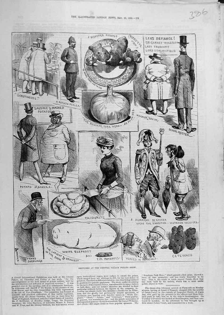 Original Old Antique Print 1883 Sketches Crystal Palace Potatoe Show Vegetables