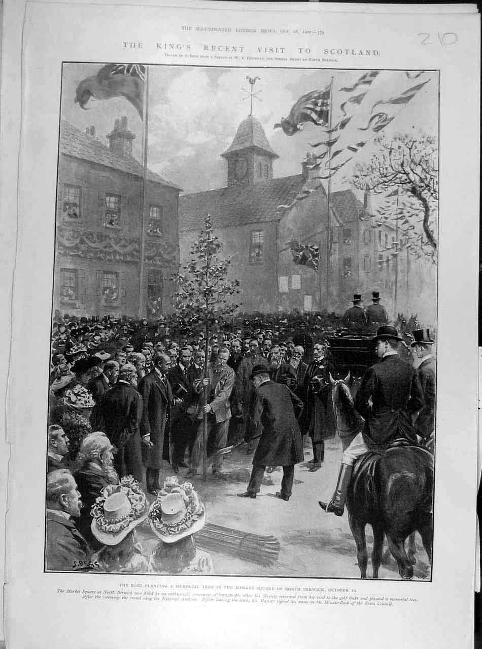 Original Old Antique Print 1902 Scotland King Visit Berwick Market-Square Tree