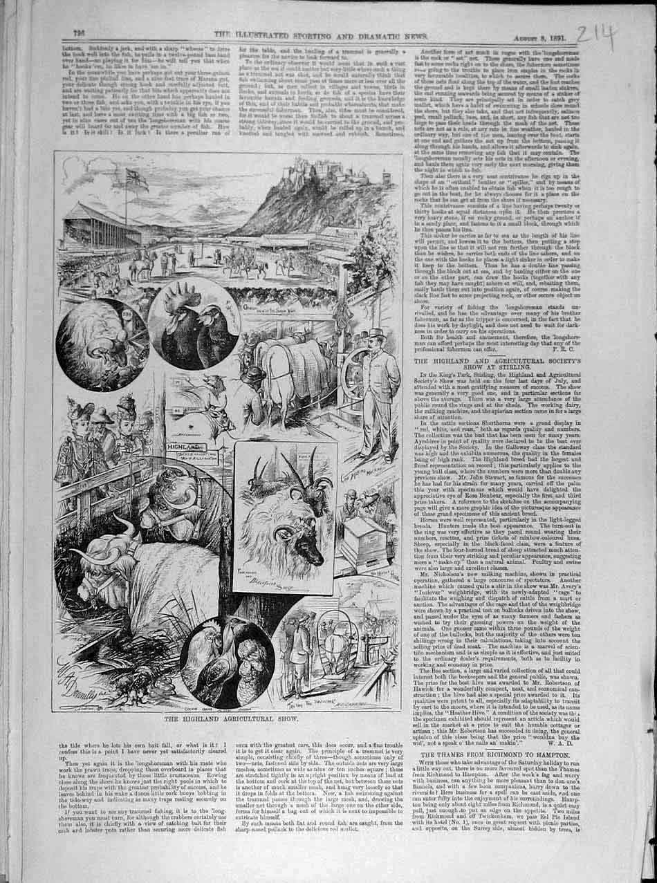Original Old Antique Print 1891 Highland Agricultural Show Sketches Animal 19th