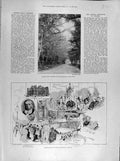 Original Old Antique Print 1896 Osborne Queen'S Road Gamble Institute St Helen'S