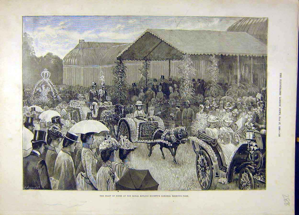 Original Old Antique Print 1889 Feast Roses Royal Botanic Gardens Regent'S Park