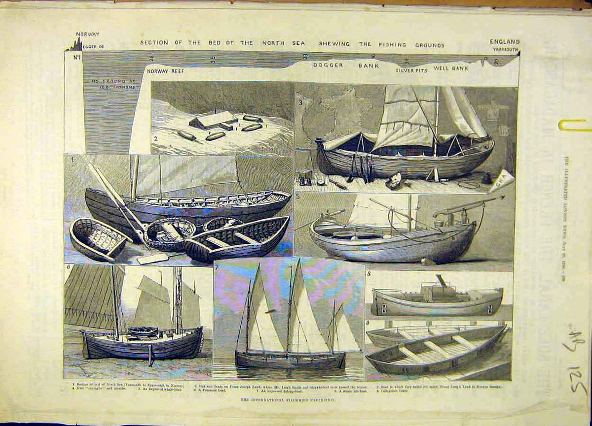 Old Antique Print 1883 Fisheries Exhibition Fishing-Boat Fete People Fish 19th