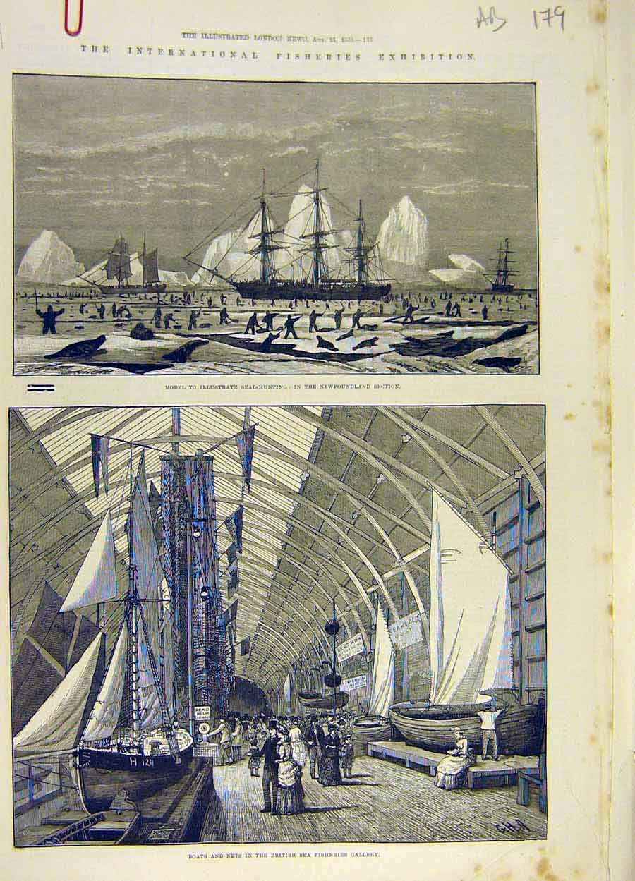 Old Antique Print 1888 Fisheries Exhibition Seal-Hunting Newfoundland Sea 19th