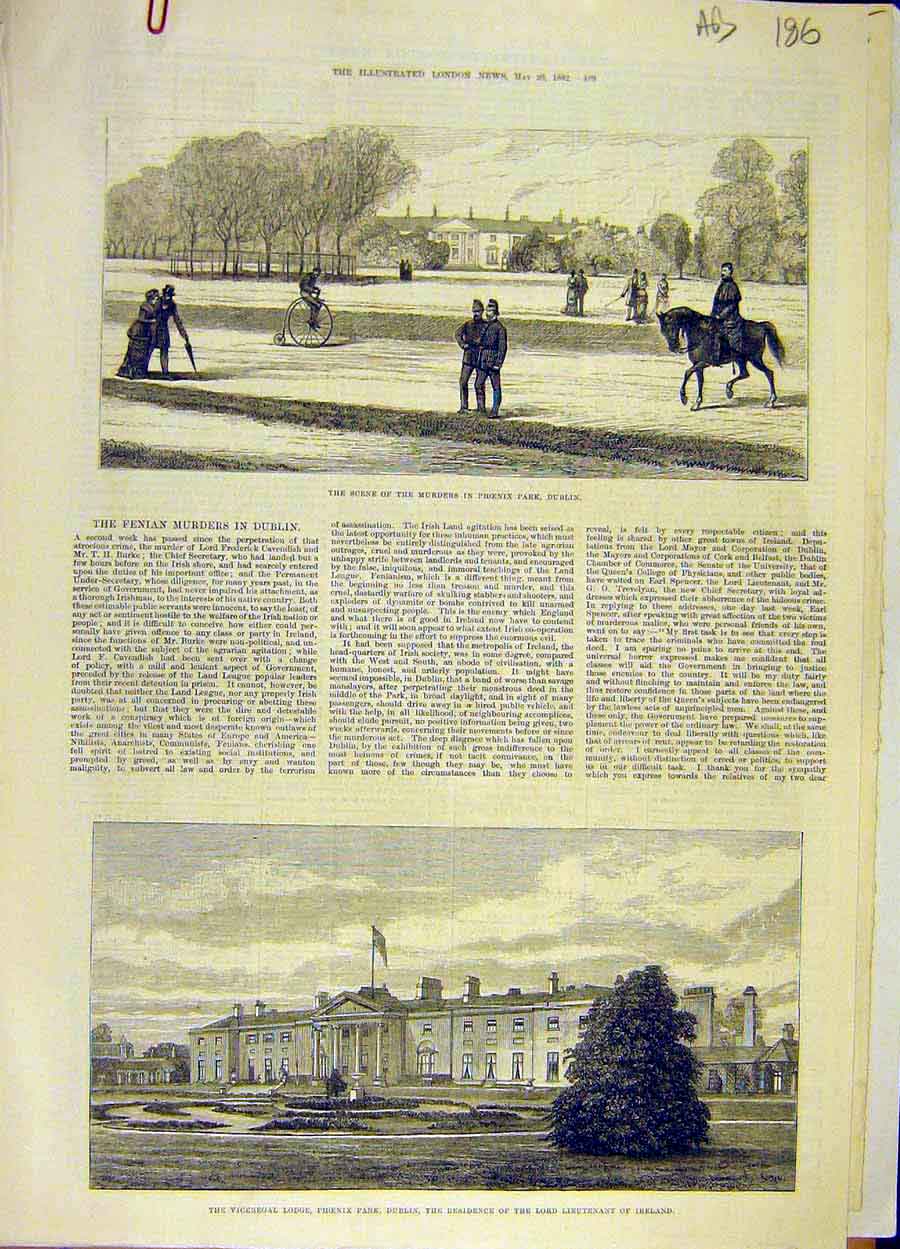 Original Old Antique Print 1882 Phoenix Park Dublin Murder Ireland River Liffey