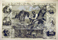 Original Old Antique Print 1859 Burns Plough-Field Poet Mountain Daisy Poetry