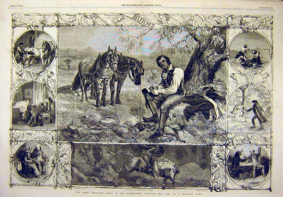 Original Old Antique Print 1859 Burns Plough-Field Poet Mountain Daisy Poetry