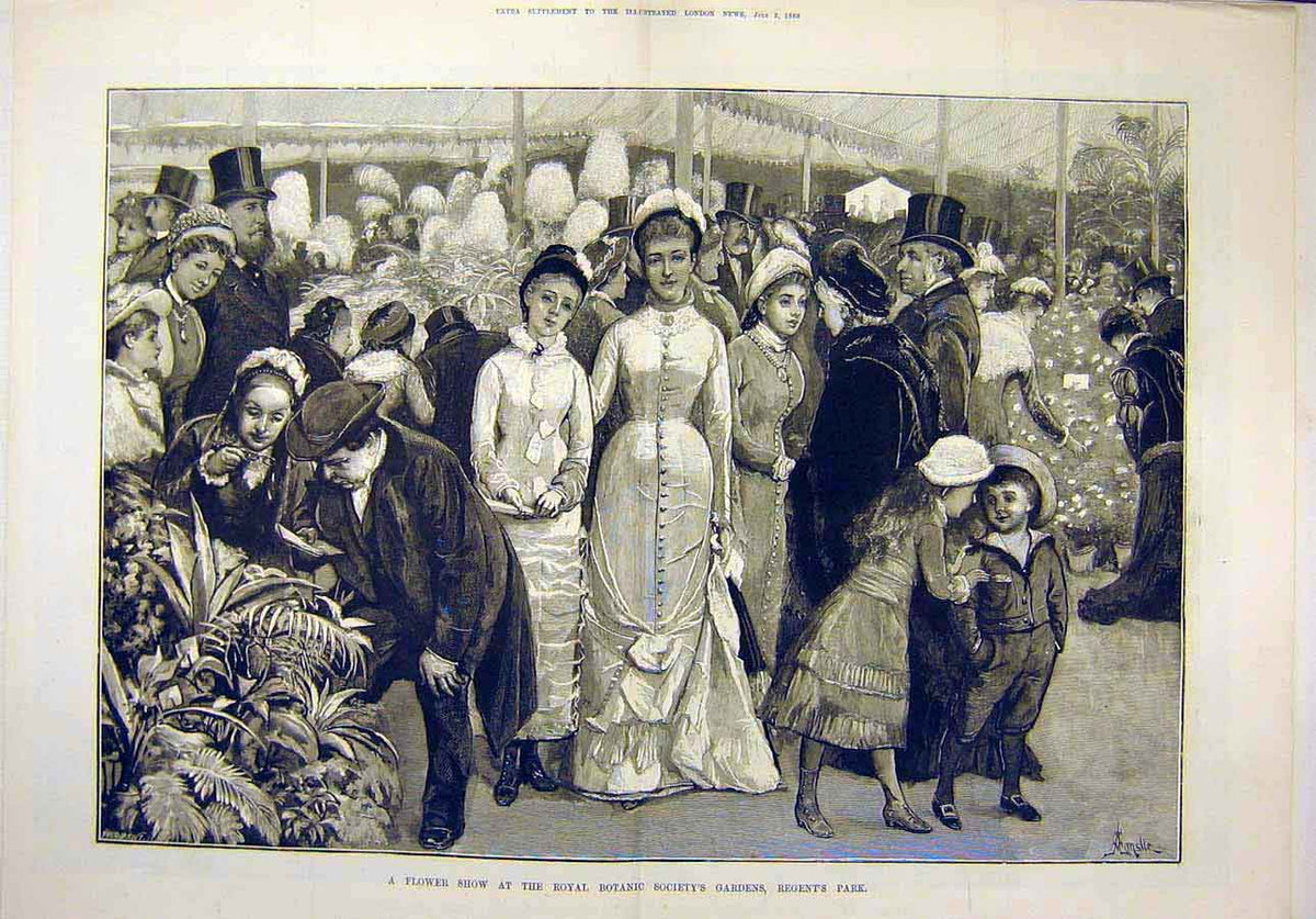 Original Old Antique Print 1880 Flower Show Royal Botanic Society'S Garden 19th