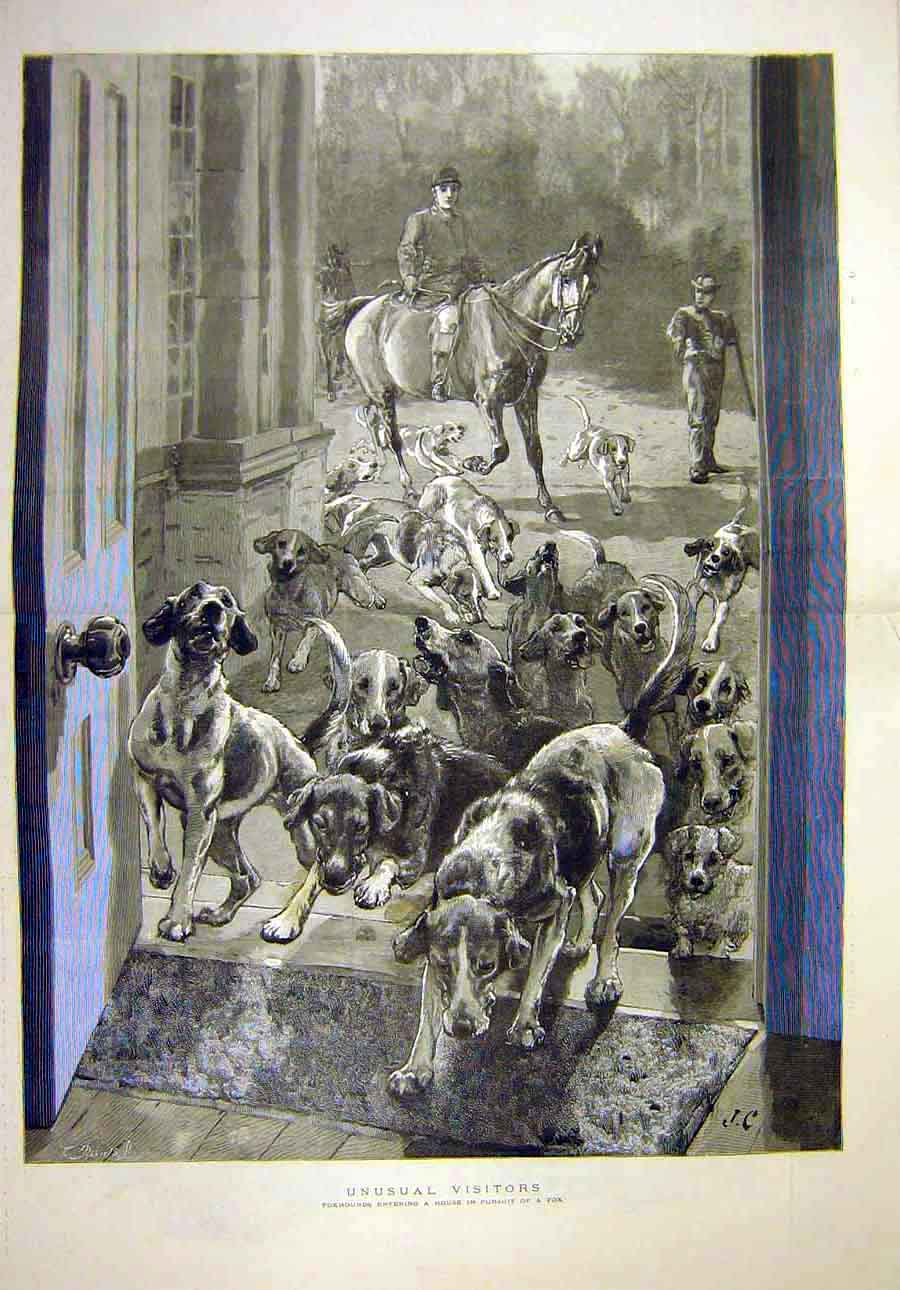 Old Antique Print 1887 Foxhounds House Pursuit Visitors Dogs Animal Hunt 19th