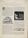 Original Old Antique Print Use Animal Forms Ornamental Art Journal C1877 19th