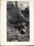 Original Old Antique Print Engraving By Raven Twilight In The Wood C1874 19th