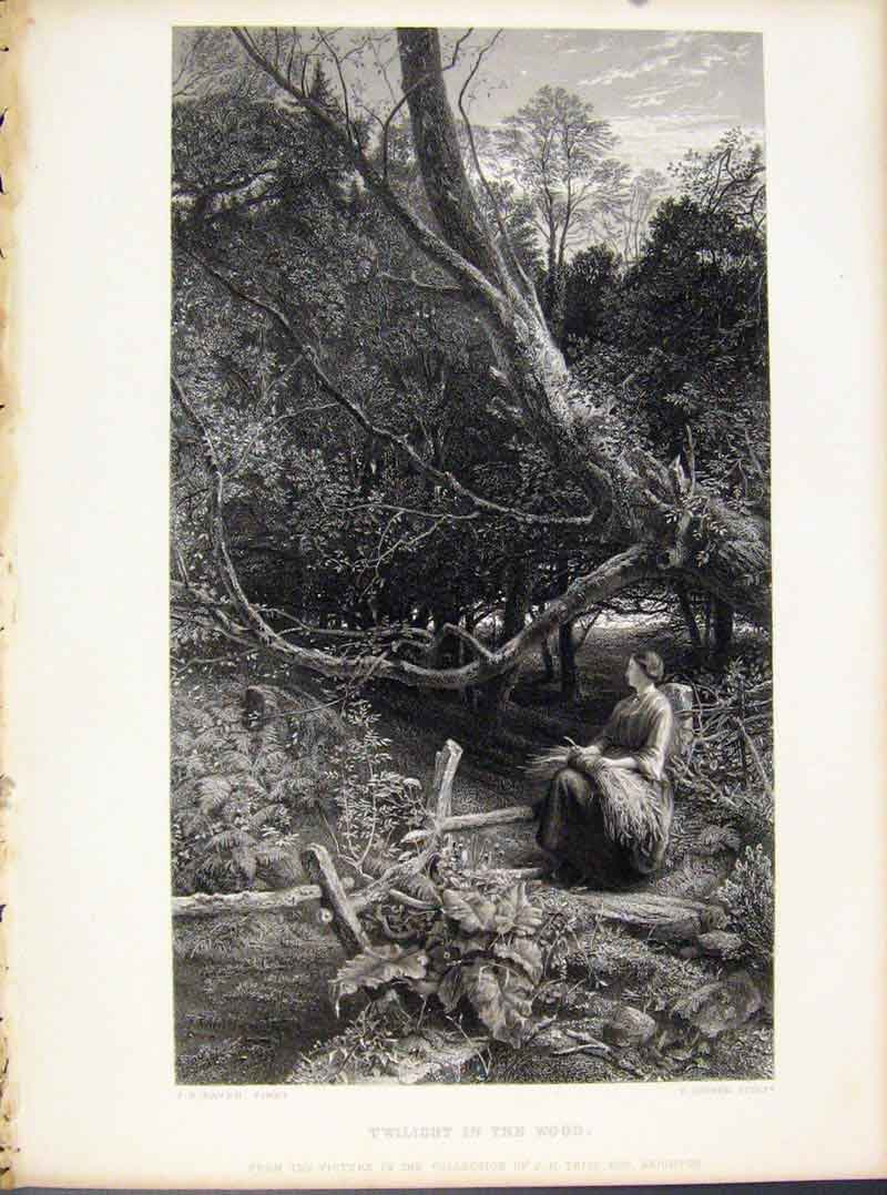 Original Old Antique Print Engraving By Raven Twilight In The Wood C1874 19th