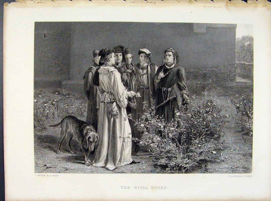 Original Old Antique Print Steel Engraving By Pettie The Rival Roses C1874 19th