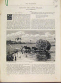 Original Old Antique Print Life On Upper Thames Art Journal C1874 Fine 19th