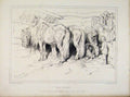 Original Old Antique Print Stabel Horse Fine Art C1876 Engraving 19th