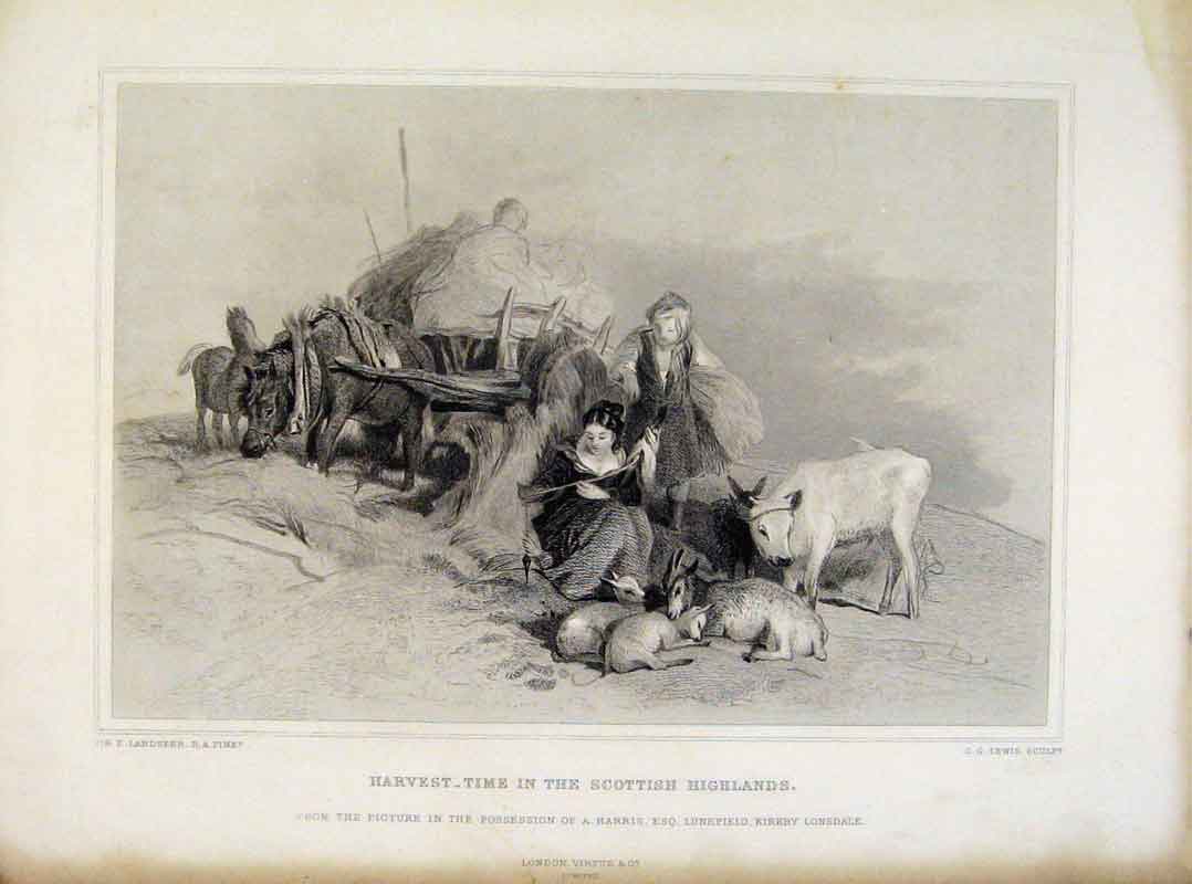 Original Old Antique Print Harvest Time Scottish Highlands Steel Engraving C1876