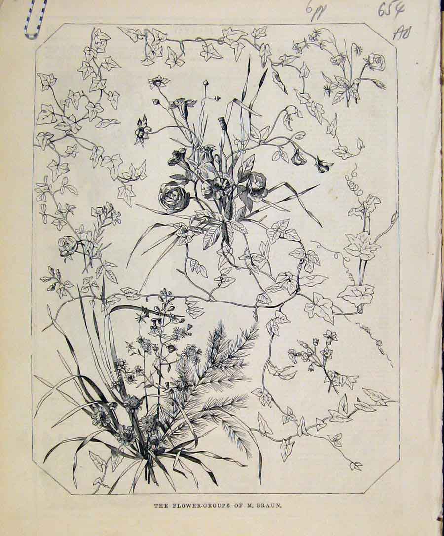Original Old Antique Print Flower Groups Braun Art Union C1847 Fine Art 19th