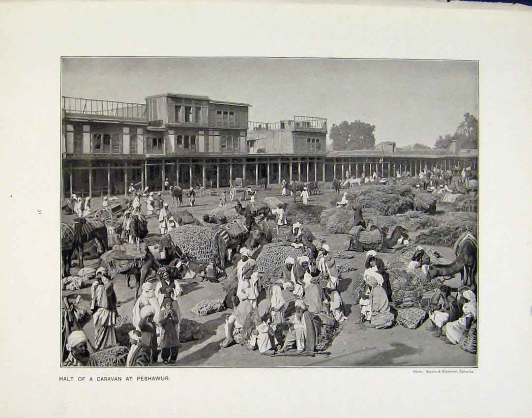 Original Old Antique Print Halt Caravan Peshawur Wool Show Room Photographs