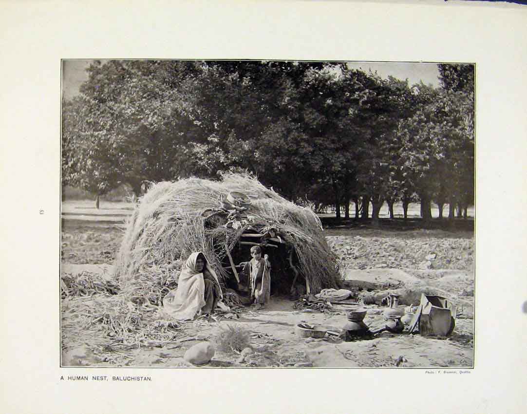 Old Antique Print Human Nest Baluchistan Sluicers Camp Nashwaak Canada