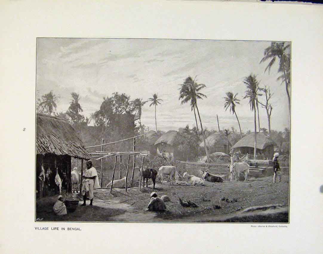 Original Old Antique Print Village Life Benagl Two Typical Houses Photo