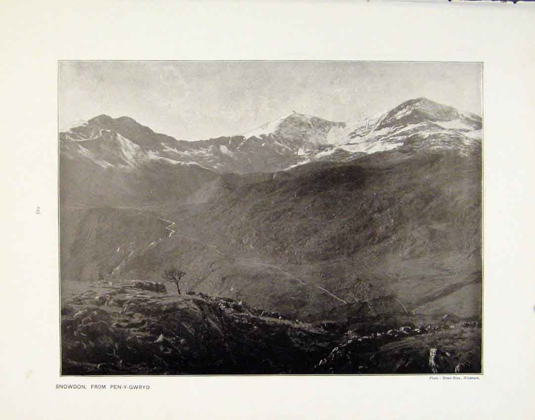 Old Antique Print Snowdon Farm Penygwryd Long Sault Rapids Canada Photo